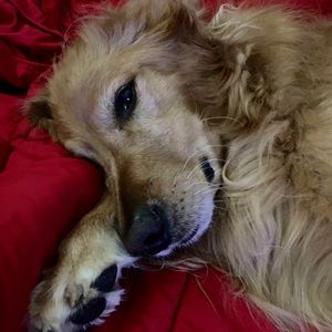 Meet your Posher, April